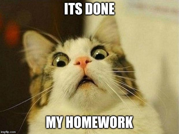 Scared Cat | ITS DONE; MY HOMEWORK | image tagged in memes,scared cat | made w/ Imgflip meme maker