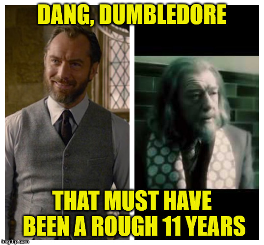Dumbledore Got Old | DANG, DUMBLEDORE; THAT MUST HAVE BEEN A ROUGH 11 YEARS | image tagged in dumbledore,jude law,fantastic beasts and where to find them,harry potter | made w/ Imgflip meme maker