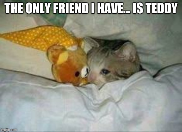 THE ONLY FRIEND I HAVE... IS TEDDY | made w/ Imgflip meme maker