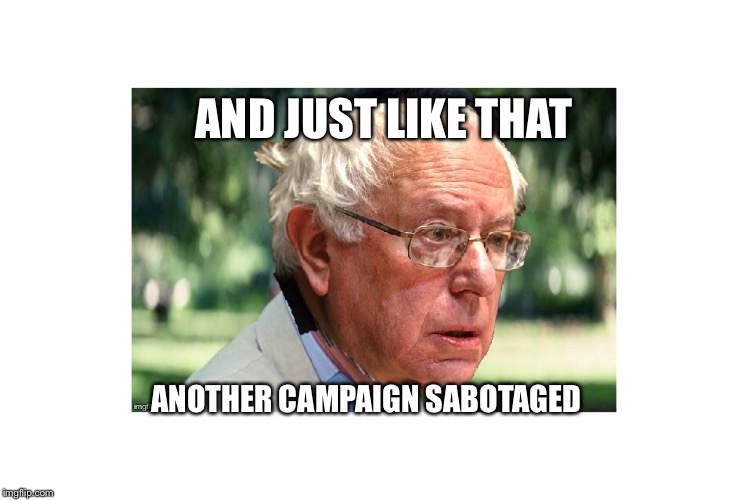 Bernie been eating them chocolates again | AND JUST LIKE THAT; ANOTHER CAMPAIGN SABOTAGED | image tagged in forrest gump,bernie sanders,bernie,and just like that | made w/ Imgflip meme maker