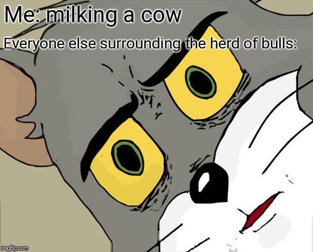 Unsettled Tom Meme | Me: milking a cow; Everyone else surrounding the herd of bulls: | image tagged in memes,unsettled tom | made w/ Imgflip meme maker