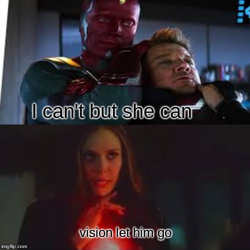 The original | I can't but she can; vision let him go | image tagged in memes,avengers | made w/ Imgflip meme maker