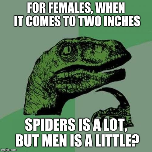 Philosoraptor | FOR FEMALES, WHEN IT COMES TO TWO INCHES; SPIDERS IS A LOT, BUT MEN IS A LITTLE? | image tagged in memes,philosoraptor | made w/ Imgflip meme maker