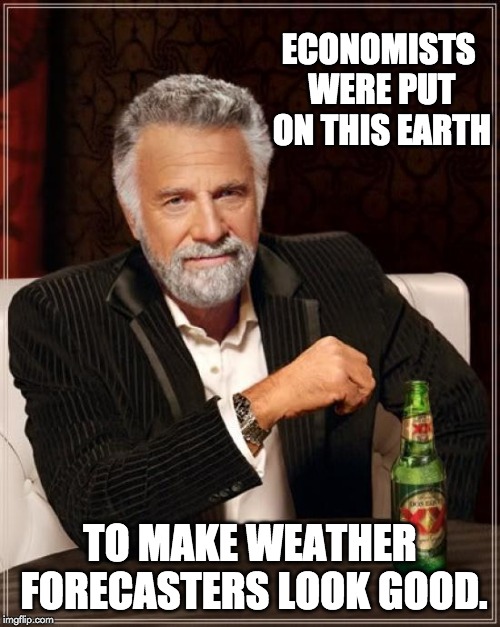 The Most Interesting Man In The World Meme | ECONOMISTS WERE PUT ON THIS EARTH; TO MAKE WEATHER FORECASTERS LOOK GOOD. | image tagged in memes,the most interesting man in the world | made w/ Imgflip meme maker