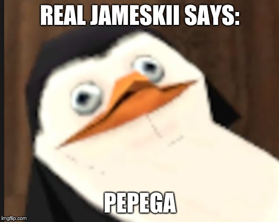 REAL JAMESKII SAYS:; PEPEGA | image tagged in jameskii,pepega | made w/ Imgflip meme maker