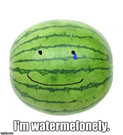 Watermelonely... :,( | I'm watermelonely. | image tagged in watermelon,memes,watermelonely,lonely | made w/ Imgflip meme maker