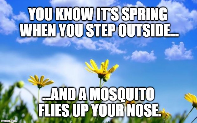 Spring | YOU KNOW IT'S SPRING WHEN YOU STEP OUTSIDE... ...AND A MOSQUITO FLIES UP YOUR NOSE. | image tagged in spring | made w/ Imgflip meme maker