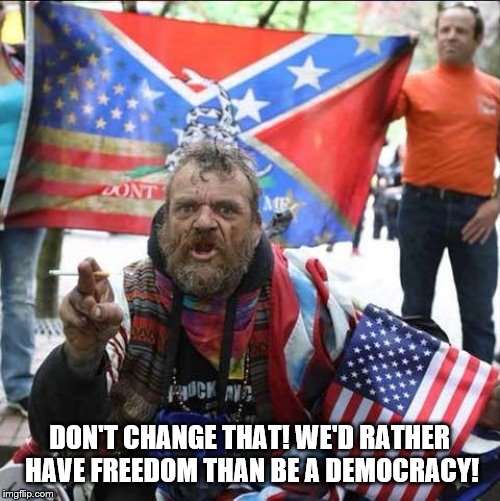 conservative alt right tardo | DON'T CHANGE THAT! WE'D RATHER HAVE FREEDOM THAN BE A DEMOCRACY! | image tagged in conservative alt right tardo | made w/ Imgflip meme maker