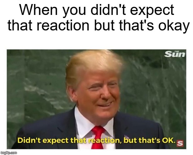 Didn't expect that reaction, but that's OK. | When you didn't expect that reaction but that's okay | image tagged in didn't expect that reaction but that's ok | made w/ Imgflip meme maker