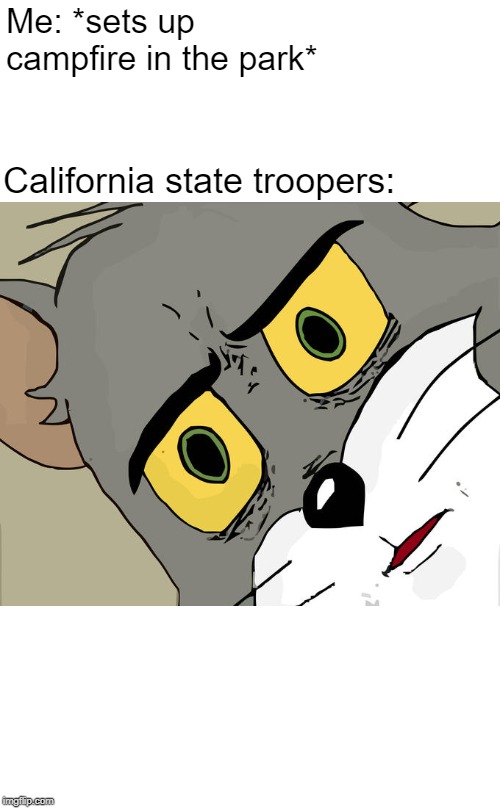 Unsettled Tom | Me: *sets up campfire in the park*; California state troopers: | image tagged in memes,unsettled tom | made w/ Imgflip meme maker