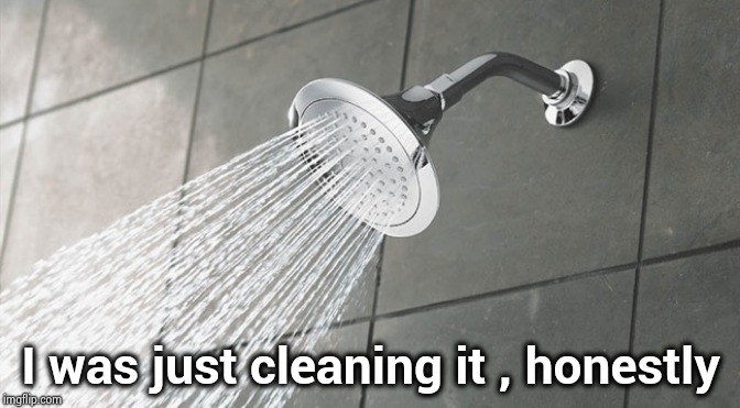 Shower Thoughts | I was just cleaning it , honestly | image tagged in shower thoughts | made w/ Imgflip meme maker