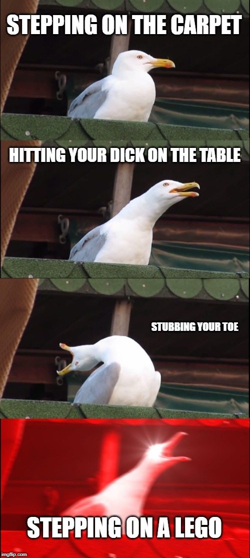 Inhaling Seagull | STEPPING ON THE CARPET; HITTING YOUR DICK ON THE TABLE; STUBBING YOUR TOE; STEPPING ON A LEGO | image tagged in memes,inhaling seagull | made w/ Imgflip meme maker