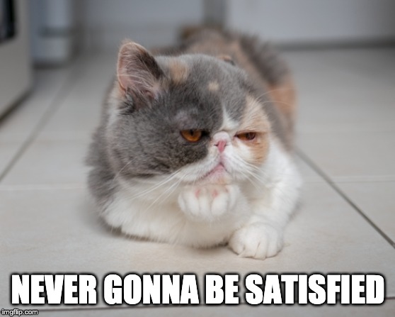 Never gonna be satisfied | NEVER GONNA BE SATISFIED | image tagged in grumpy cat,cats,funny cats,satisfied,grumpy,ugly | made w/ Imgflip meme maker