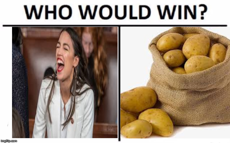 Who Would Win? | image tagged in memes,who would win | made w/ Imgflip meme maker