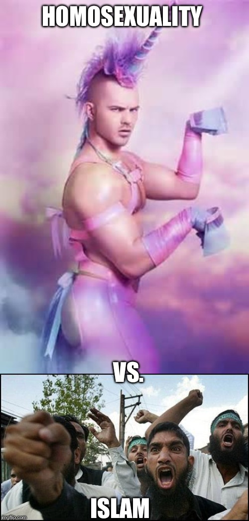 Choose your character! 3..2..1..Fight! | HOMOSEXUALITY; VS. ISLAM | image tagged in gay unicorn,islam | made w/ Imgflip meme maker