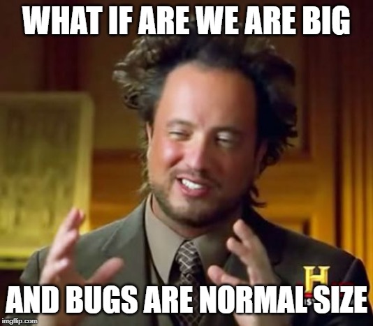 Ancient Aliens Meme | WHAT IF ARE WE ARE BIG; AND BUGS ARE NORMAL SIZE | image tagged in memes,ancient aliens | made w/ Imgflip meme maker