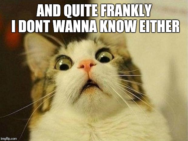 Scared Cat Meme | AND QUITE FRANKLY I DONT WANNA KNOW EITHER | image tagged in memes,scared cat | made w/ Imgflip meme maker