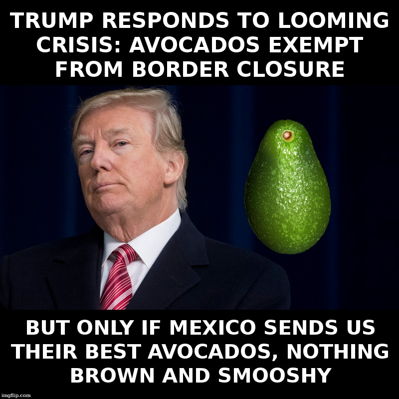 Trump Responds To Looming Crisis | image tagged in donald trump,secure the border,avocado crisis | made w/ Imgflip meme maker