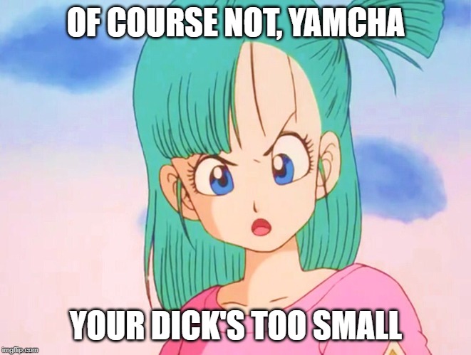 OF COURSE NOT, YAMCHA YOUR DICK'S TOO SMALL | image tagged in young bulma angry | made w/ Imgflip meme maker
