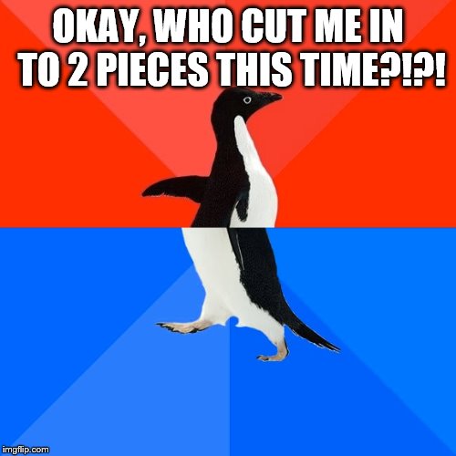 WHO DID IT?!?!?!?!? | OKAY, WHO CUT ME IN TO 2 PIECES THIS TIME?!?! | image tagged in memes,socially awesome awkward penguin | made w/ Imgflip meme maker