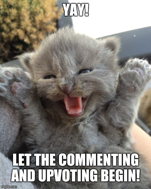 Yay Kitty | YAY! LET THE COMMENTING AND UPVOTING BEGIN! | image tagged in yay kitty | made w/ Imgflip meme maker