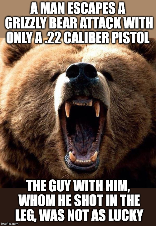 You don't have to out run the bear, you only have to out run the person with you. |  A MAN ESCAPES A GRIZZLY BEAR ATTACK WITH ONLY A .22 CALIBER PISTOL; THE GUY WITH HIM, WHOM HE SHOT IN THE LEG, WAS NOT AS LUCKY | image tagged in don't poke the bear | made w/ Imgflip meme maker