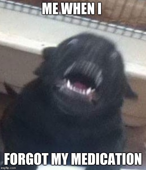 hyper as dicks pup | ME WHEN I; FORGOT MY MEDICATION | image tagged in hyper as dicks pup | made w/ Imgflip meme maker