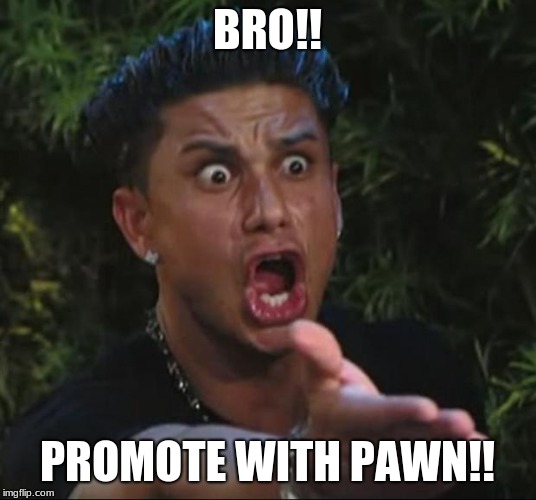DJ Pauly D Meme | BRO!! PROMOTE WITH PAWN!! | image tagged in memes,dj pauly d | made w/ Imgflip meme maker