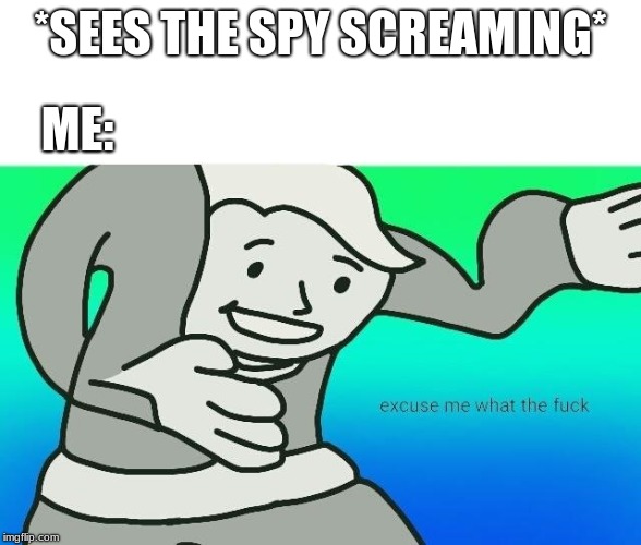 Excuse me, what the fuck | *SEES THE SPY SCREAMING* ME: | image tagged in excuse me what the fuck | made w/ Imgflip meme maker