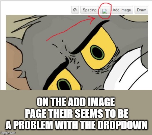 bug report | ON THE ADD IMAGE PAGE THEIR SEEMS TO BE A PROBLEM WITH THE DROPDOWN | image tagged in bug,dropdown | made w/ Imgflip meme maker