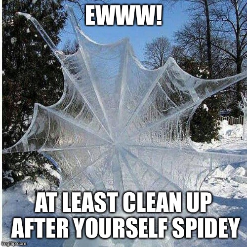 Frozen Spider Web | EWWW! AT LEAST CLEAN UP AFTER YOURSELF SPIDEY | image tagged in frozen spider web | made w/ Imgflip meme maker