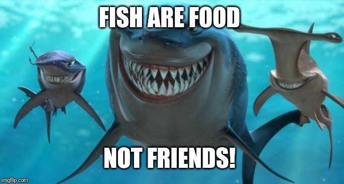 Fish are friends not food | FISH ARE FOOD NOT FRIENDS! | image tagged in fish are friends not food | made w/ Imgflip meme maker
