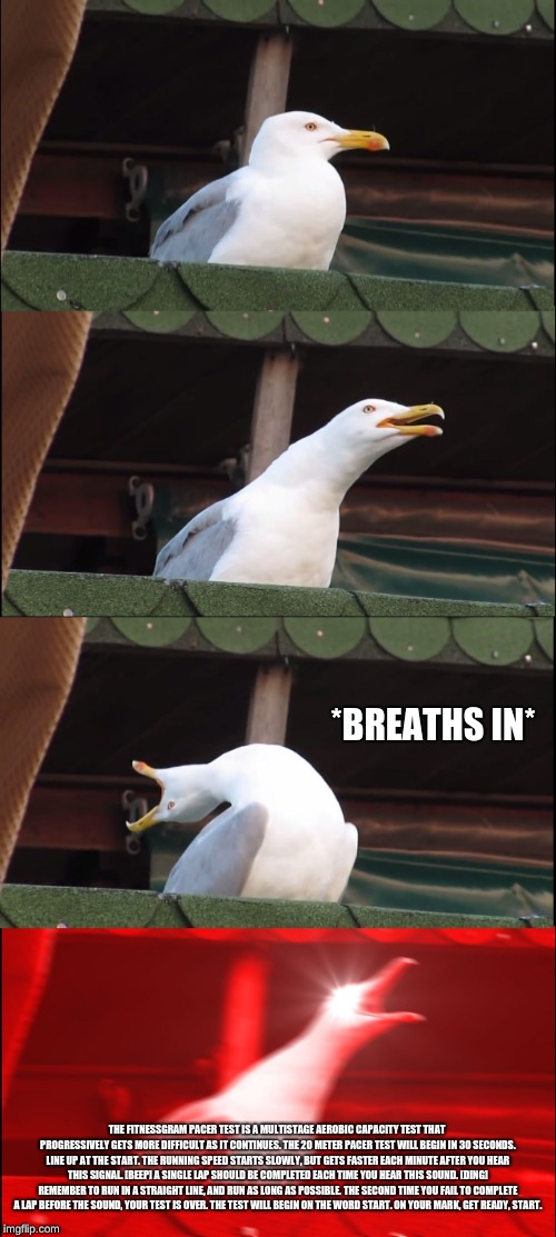 Inhaling Seagull Meme | *BREATHS IN*; THE FITNESSGRAM PACER TEST IS A MULTISTAGE AEROBIC CAPACITY TEST THAT PROGRESSIVELY GETS MORE DIFFICULT AS IT CONTINUES. THE 20 METER PACER TEST WILL BEGIN IN 30 SECONDS. LINE UP AT THE START. THE RUNNING SPEED STARTS SLOWLY, BUT GETS FASTER EACH MINUTE AFTER YOU HEAR THIS SIGNAL. [BEEP] A SINGLE LAP SHOULD BE COMPLETED EACH TIME YOU HEAR THIS SOUND. [DING] REMEMBER TO RUN IN A STRAIGHT LINE, AND RUN AS LONG AS POSSIBLE. THE SECOND TIME YOU FAIL TO COMPLETE A LAP BEFORE THE SOUND, YOUR TEST IS OVER. THE TEST WILL BEGIN ON THE WORD START. ON YOUR MARK, GET READY, START. | image tagged in memes,inhaling seagull | made w/ Imgflip meme maker