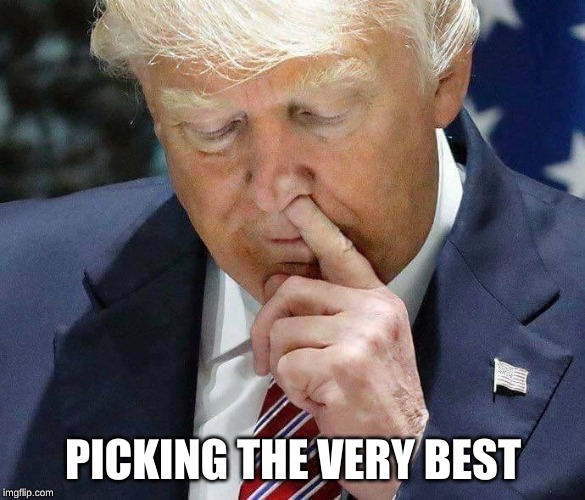 trump picking nose | PICKING THE VERY BEST | image tagged in trump picking nose | made w/ Imgflip meme maker