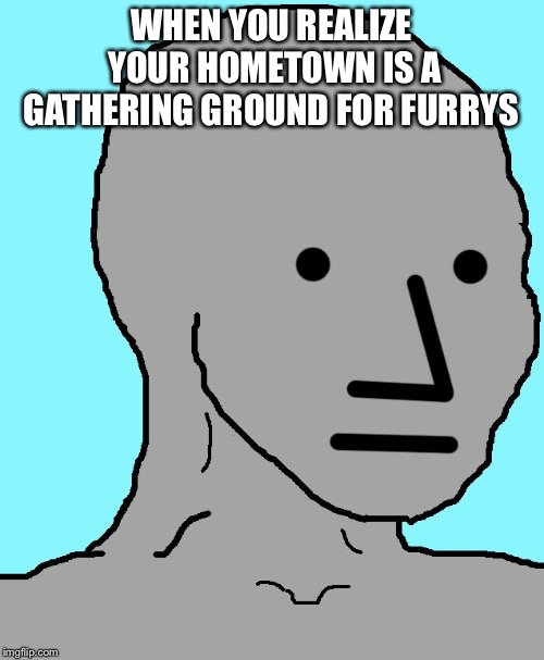 I just realized this | WHEN YOU REALIZE YOUR HOMETOWN IS A GATHERING GROUND FOR FURRYS | image tagged in memes,npc | made w/ Imgflip meme maker