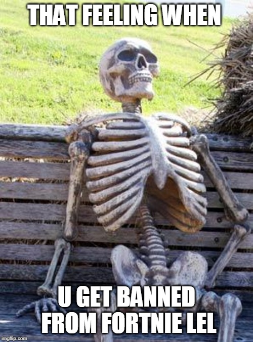 Waiting Skeleton | THAT FEELING WHEN; U GET BANNED FROM FORTNIE LEL | image tagged in memes,waiting skeleton | made w/ Imgflip meme maker