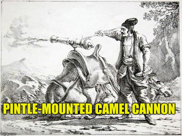 Camel Cannon | PINTLE-MOUNTED CAMEL CANNON | image tagged in camels,cannons,cannonbal,turks,turkish warefare | made w/ Imgflip meme maker