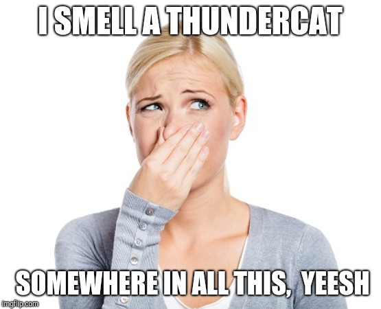 I SMELL A THUNDERCAT; SOMEWHERE IN ALL THIS,

YEESH | made w/ Imgflip meme maker