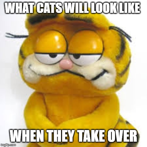 WHAT CATS WILL LOOK LIKE; WHEN THEY TAKE OVER | image tagged in lolcats | made w/ Imgflip meme maker