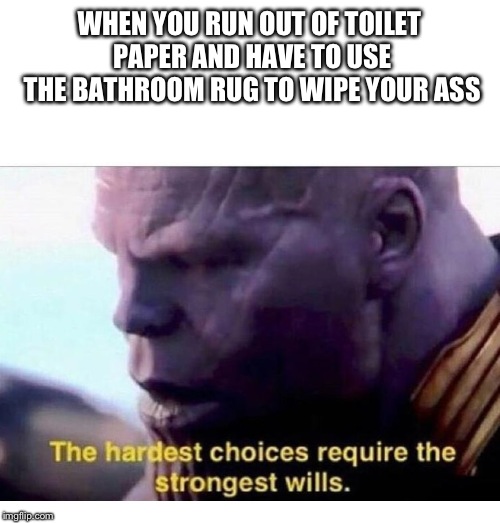 THANOS HARDEST CHOICES | WHEN YOU RUN OUT OF TOILET PAPER AND HAVE TO USE THE BATHROOM RUG TO WIPE YOUR ASS | image tagged in thanos hardest choices | made w/ Imgflip meme maker