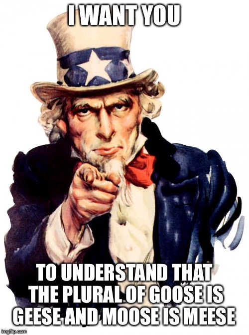 Uncle Sam Meme | I WANT YOU; TO UNDERSTAND THAT THE PLURAL OF GOOSE IS GEESE AND MOOSE IS MEESE | image tagged in memes,uncle sam | made w/ Imgflip meme maker