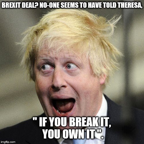 Boris Johnson | BREXIT DEAL? NO-ONE SEEMS TO HAVE TOLD THERESA, '' IF YOU BREAK IT,     YOU OWN IT ''. | image tagged in boris johnson | made w/ Imgflip meme maker