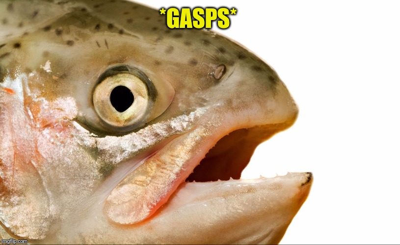 Statement salmon | *GASPS* | image tagged in statement salmon | made w/ Imgflip meme maker