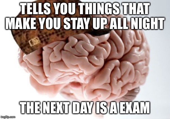 Scumbag Brain Meme | TELLS YOU THINGS THAT MAKE YOU STAY UP ALL NIGHT; THE NEXT DAY IS A EXAM | image tagged in memes,scumbag brain | made w/ Imgflip meme maker