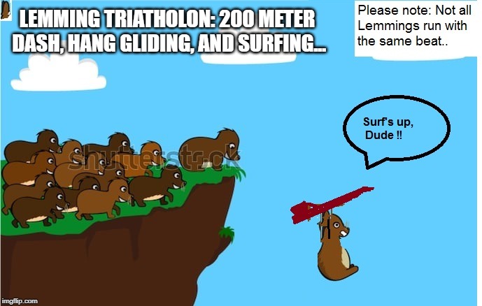 LEMMING TRIATHOLON: 200 METER DASH, HANG GLIDING, AND SURFING... | image tagged in humor,pets | made w/ Imgflip meme maker