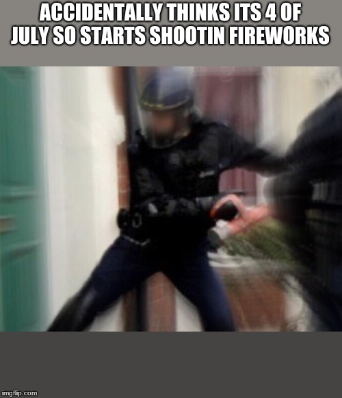 FBI Door Breach | ACCIDENTALLY THINKS ITS 4 OF JULY SO STARTS SHOOTIN FIREWORKS | image tagged in fbi door breach | made w/ Imgflip meme maker