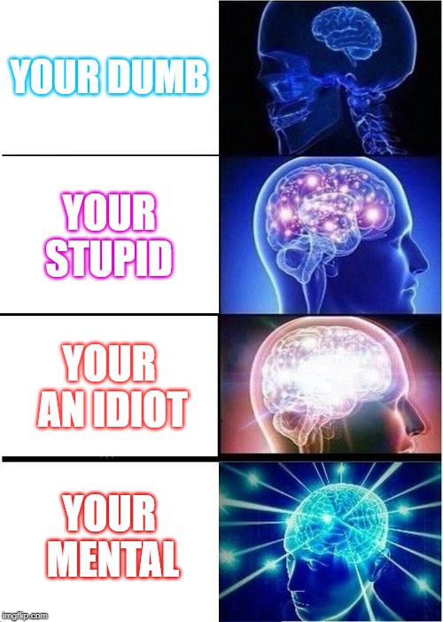 Expanding Brain Meme | YOUR DUMB; YOUR STUPID; YOUR AN IDIOT; YOUR MENTAL | image tagged in memes,expanding brain | made w/ Imgflip meme maker