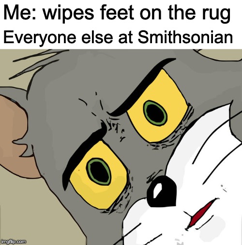 Unsettled Tom | Me: wipes feet on the rug; Everyone else at Smithsonian | image tagged in memes,unsettled tom | made w/ Imgflip meme maker