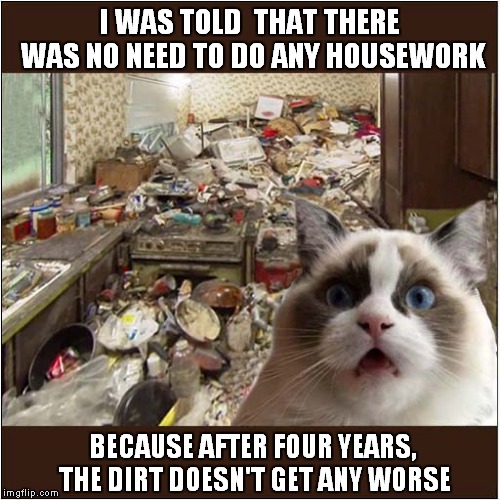 Grubby Grumpy | I WAS TOLD  THAT THERE WAS NO NEED TO DO ANY HOUSEWORK; BECAUSE AFTER FOUR YEARS, THE DIRT DOESN'T GET ANY WORSE | image tagged in fun,grumpy cat | made w/ Imgflip meme maker