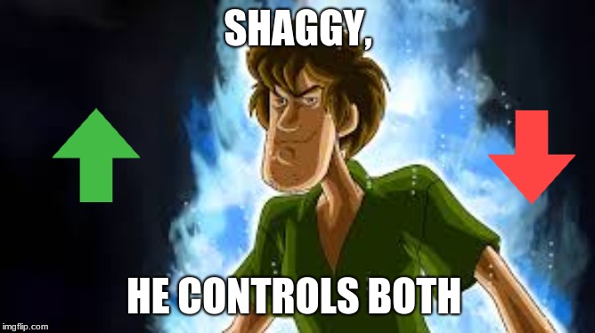 All Powerful Shaggy | SHAGGY, HE CONTROLS BOTH | image tagged in all powerful shaggy | made w/ Imgflip meme maker